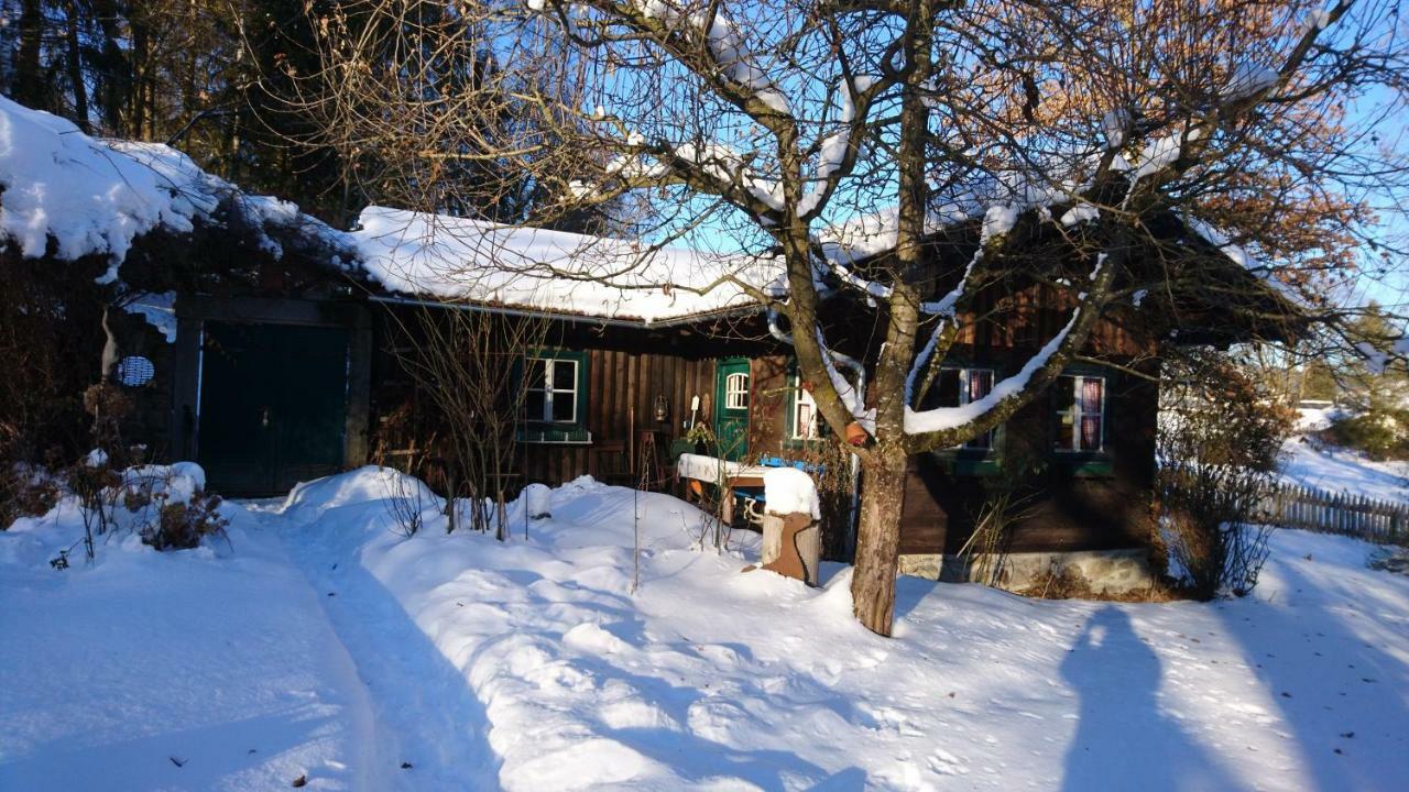 Landhaus Bernecker, Bay.W. Rinchnach Экстерьер фото